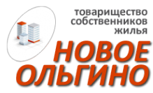 Логотип компании Новое Ольгино