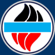 Логотип компании Всероссийский НИИ противопожарной обороны МЧС России