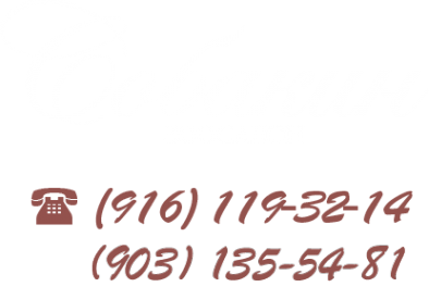 Логотип компании Собакин