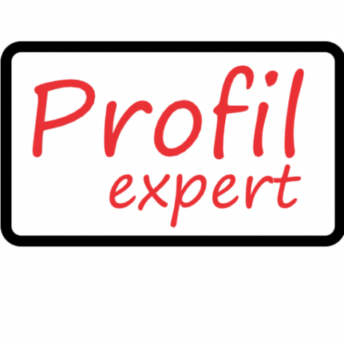 Логотип компании Profilexpert