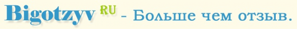 Логотип компании ООО Биготзыв
