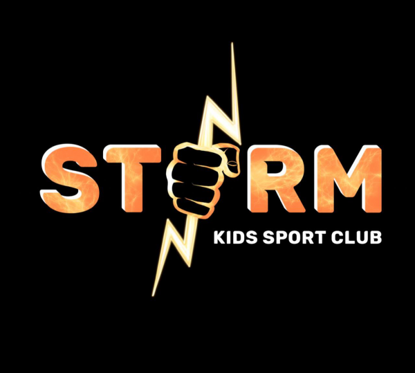Логотип компании Детский спортивный клуб шторм